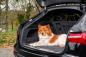 Preview: Hunde Trenngitter